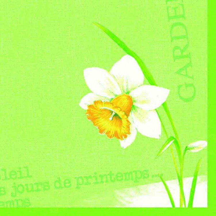 Ubrousek 40x40 DNL Spring day 50ks | Duni - Ubrousky, kapsy na příbory - Dunilin 40x40 Ubrousek 40x40 DNL Spring day 50ks | Duni - Ubrousky, kapsy na příbory - Dunilin 40x40