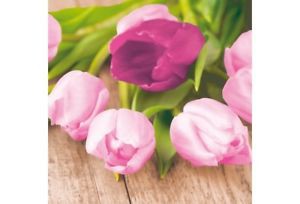 Ubrousek 33x33 3Vr Easter Tulip 20ks | Duni - Ubrousky, kapsy na příbory - 3 vrstvé ubrousky Ubrousek 33x33 3Vr Easter Tulip 20ks | Duni - Ubrousky, kapsy na příbory - 3 vrstvé ubrousky