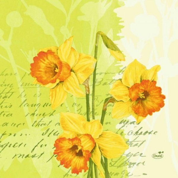 Ubrousek 40x40 DNL Spring Flowers 50ks | Duni - Ubrousky, kapsy na příbory - Dunilin 40x40