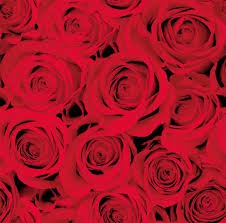 Ubrousek 40x40 Dsoft Red Roses 12ks | Duni - Ubrousky, kapsy na příbory - Airlaid 40x40 Ubrousek 40x40 Dsoft Red Roses 12ks | Duni - Ubrousky, kapsy na příbory - Airlaid 40x40