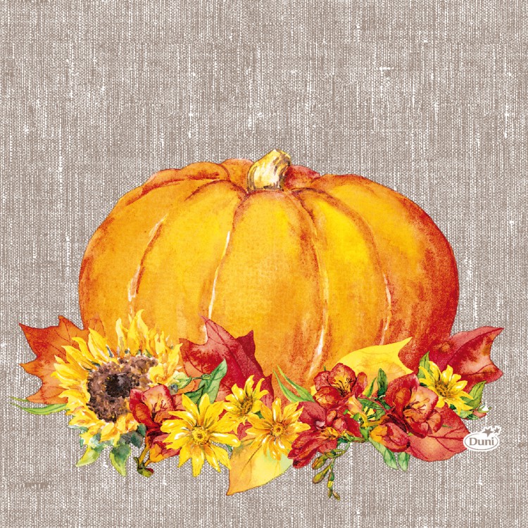 Ubrousek 33x33 3V Autumn Pumpkin 20ks | Duni - Ubrousky, kapsy na příbory - 3 vrstvé ubrousky Ubrousek 33x33 3V Autumn Pumpkin 20ks | Duni - Ubrousky, kapsy na příbory - 3 vrstvé ubrousky