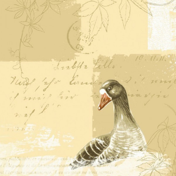 Ubrousek 40x40 Dsoft Goose 60ks | Duni - Ubrousky, kapsy na příbory - Dunilin 40x40 Ubrousek 40x40 Dsoft Goose 60ks | Duni - Ubrousky, kapsy na příbory - Dunilin 40x40