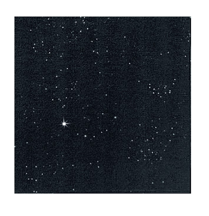 Ubrousek 40x40 Dlin Brilliance Black 45k | Duni - Ubrousky, kapsy na příbory - Dunilin 40x40 Ubrousek 40x40 Dlin Brilliance Black 45k | Duni - Ubrousky, kapsy na příbory - Dunilin 40x40